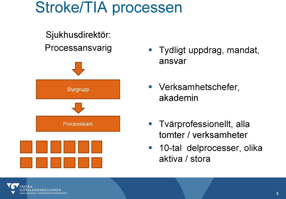 Verksamhetschefer, akademin Processteam