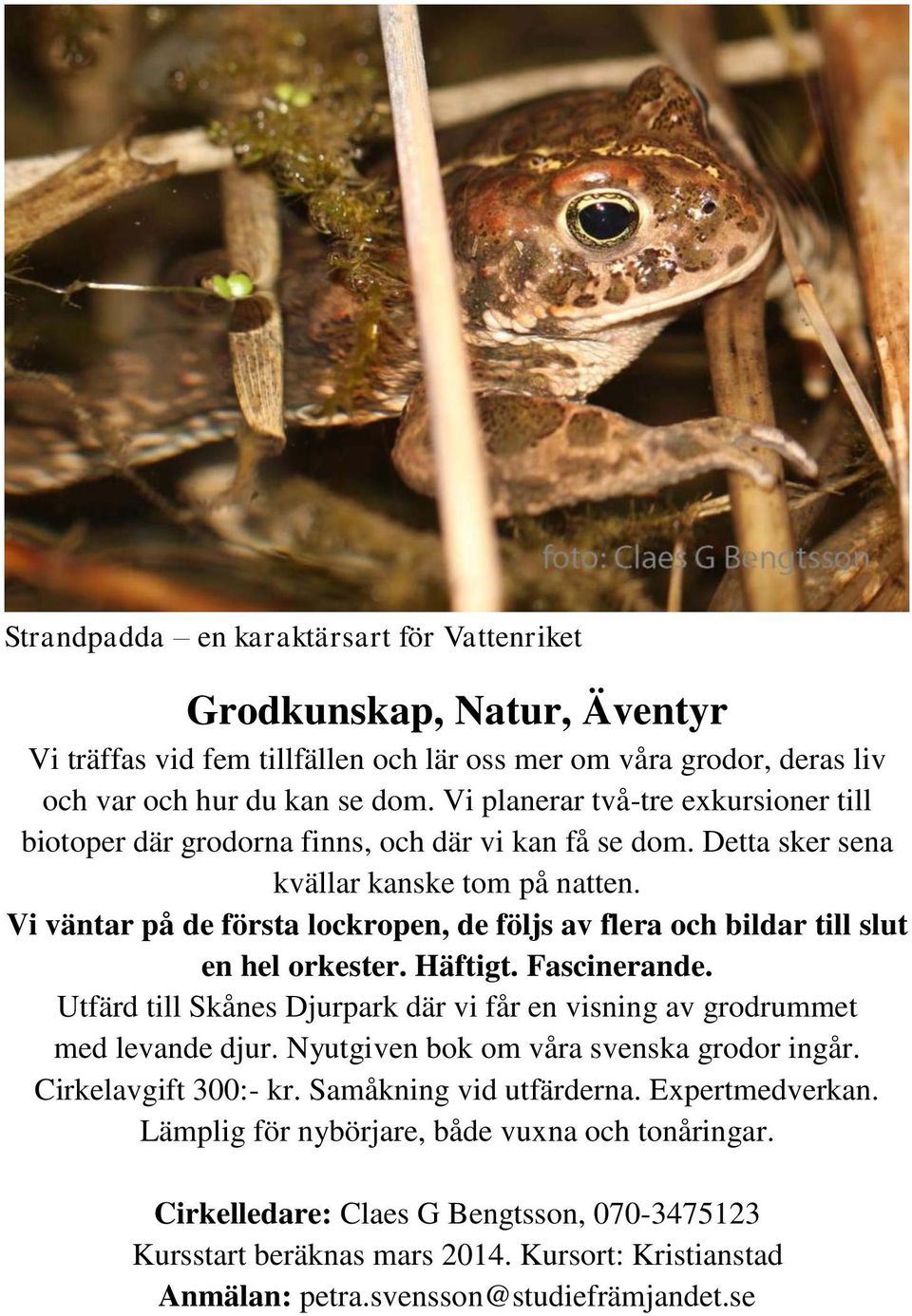 Vi väntar på de första lockropen, de följs av flera och bildar till slut en hel orkester. Häftigt. Fascinerande. Utfärd till Skånes Djurpark där vi får en visning av grodrummet med levande djur.