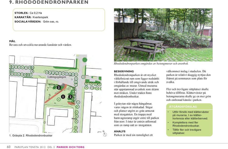 Utmed murarna står uppstammad avenbok som skärm mot stråken. Under träden finns rhododendronbuskar. I gräsytan står några hängalmar, varav någon är rötskadad.