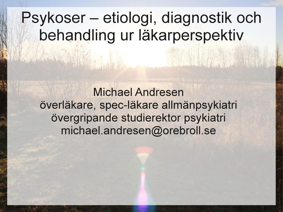 övergripande studierektor