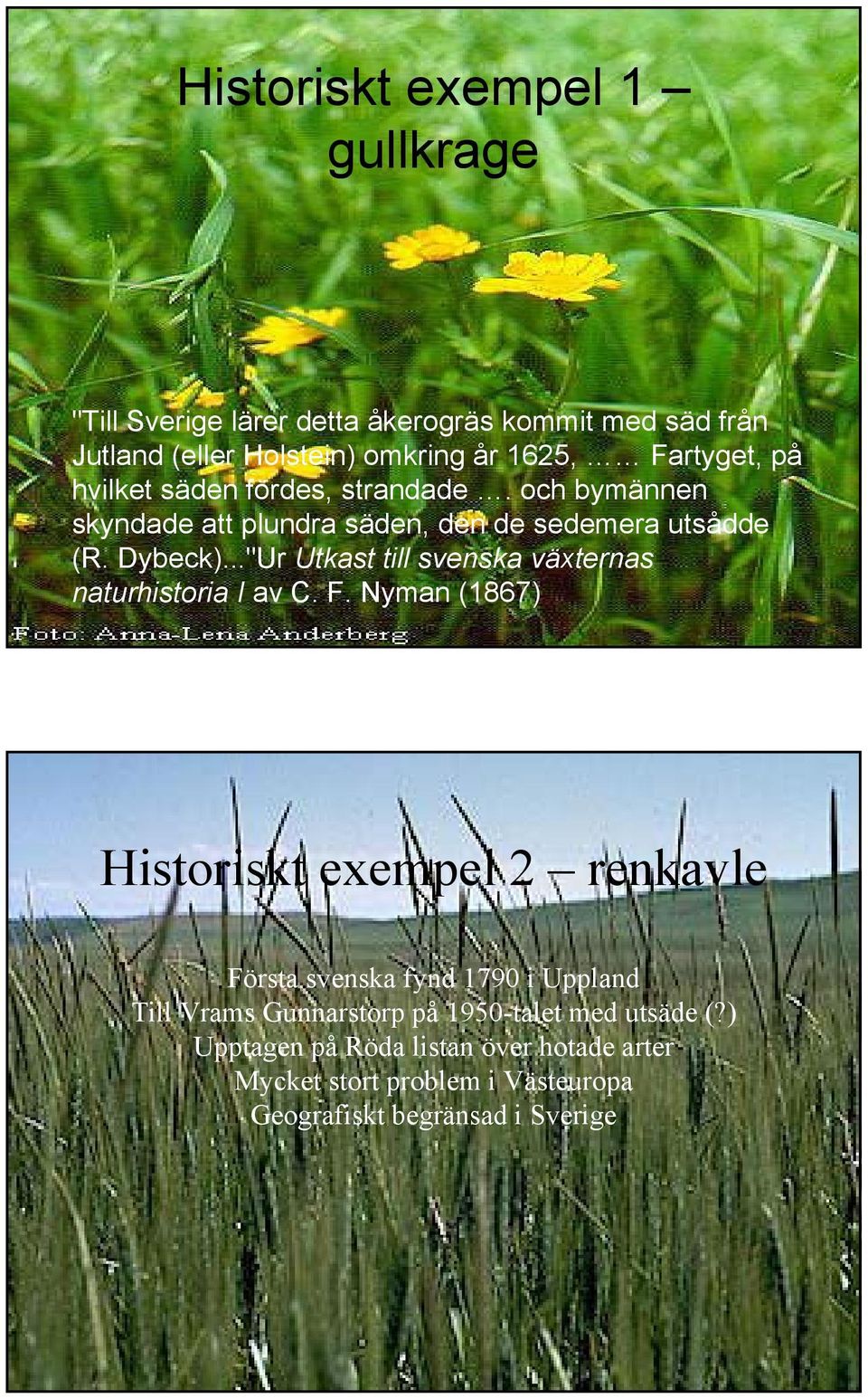 .."Ur Utkast till svenska växternas naturhistoria I av C. F.