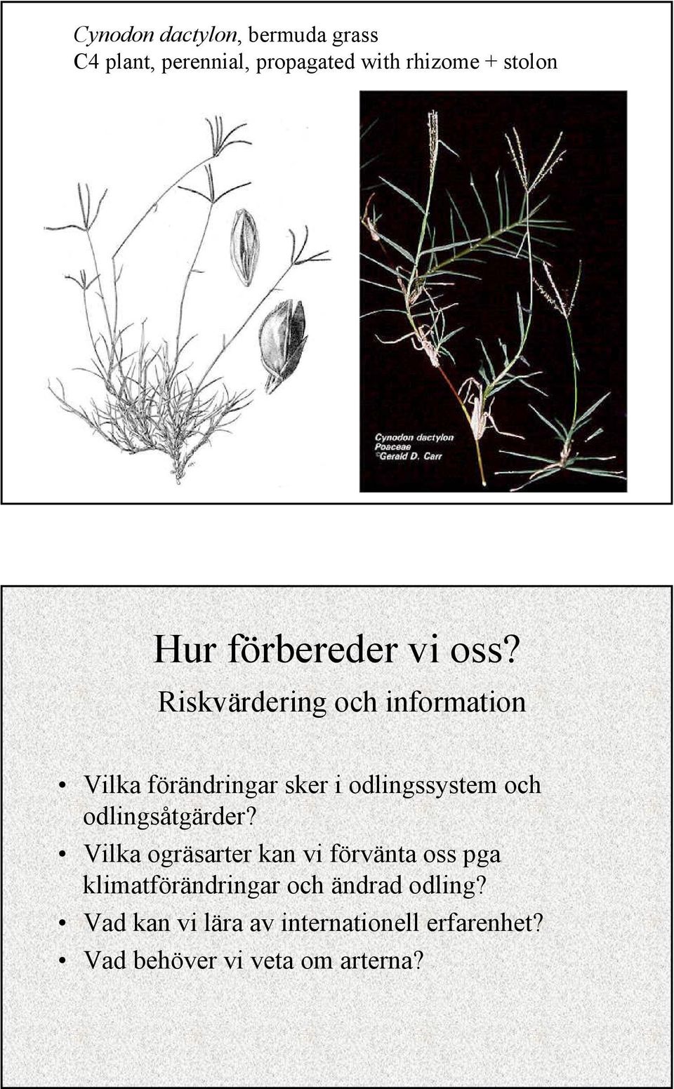 Riskvärdering och information Vilka förändringar sker i odlingssystem och