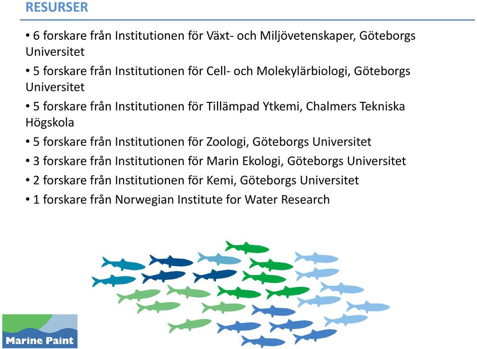 Högskola 5 forskare från Institutionen för Zoologi, Göteborgs Universitet 3 forskare från Institutionen för Marin Ekologi,