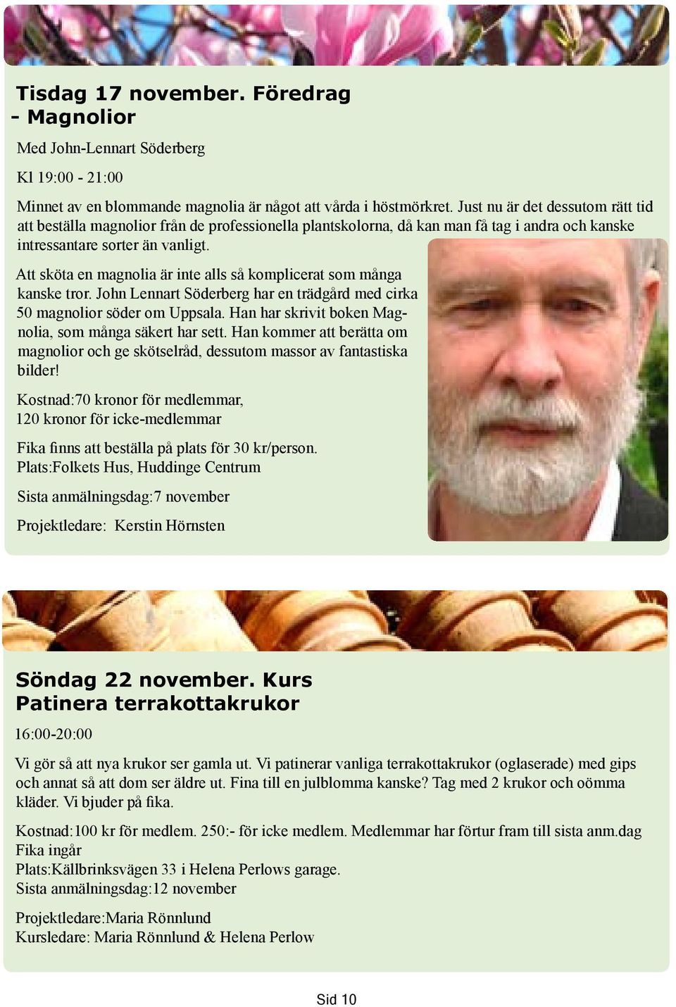 Att sköta en magnolia är inte alls så komplicerat som många kanske tror. John Lennart Söderberg har en trädgård med cirka 50 magnolior söder om Uppsala.
