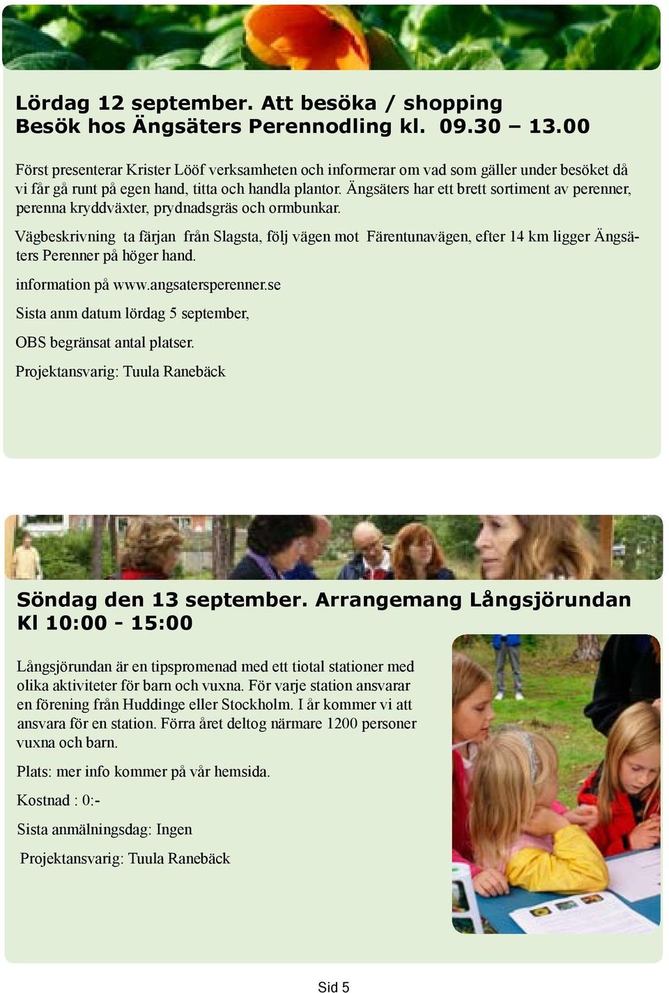 Ängsäters har ett brett sortiment av perenner, perenna kryddväxter, prydnadsgräs och ormbunkar.