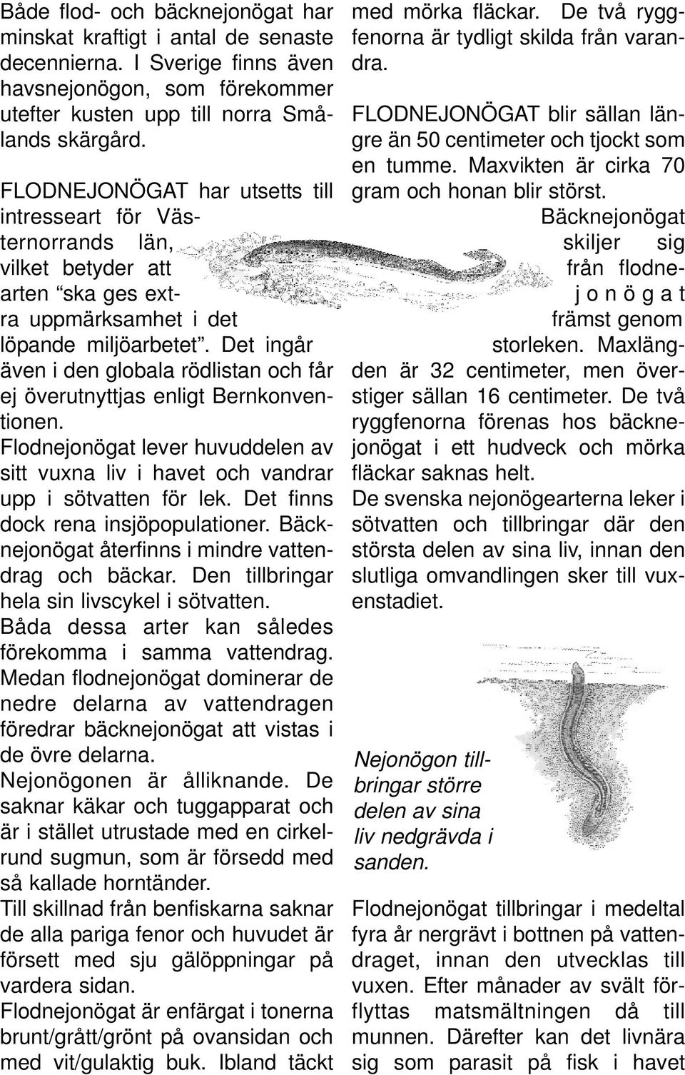 Det ingår även i den globala rödlistan och får ej överutnyttjas enligt Bernkonventionen. Flodnejonögat lever huvuddelen av sitt vuxna liv i havet och vandrar upp i sötvatten för lek.
