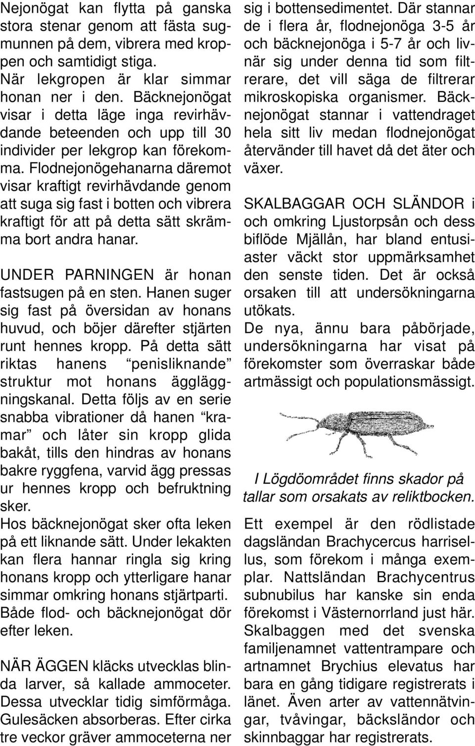 Flodnejonögehanarna däremot visar kraftigt revirhävdande genom att suga sig fast i botten och vibrera kraftigt för att på detta sätt skrämma bort andra hanar.