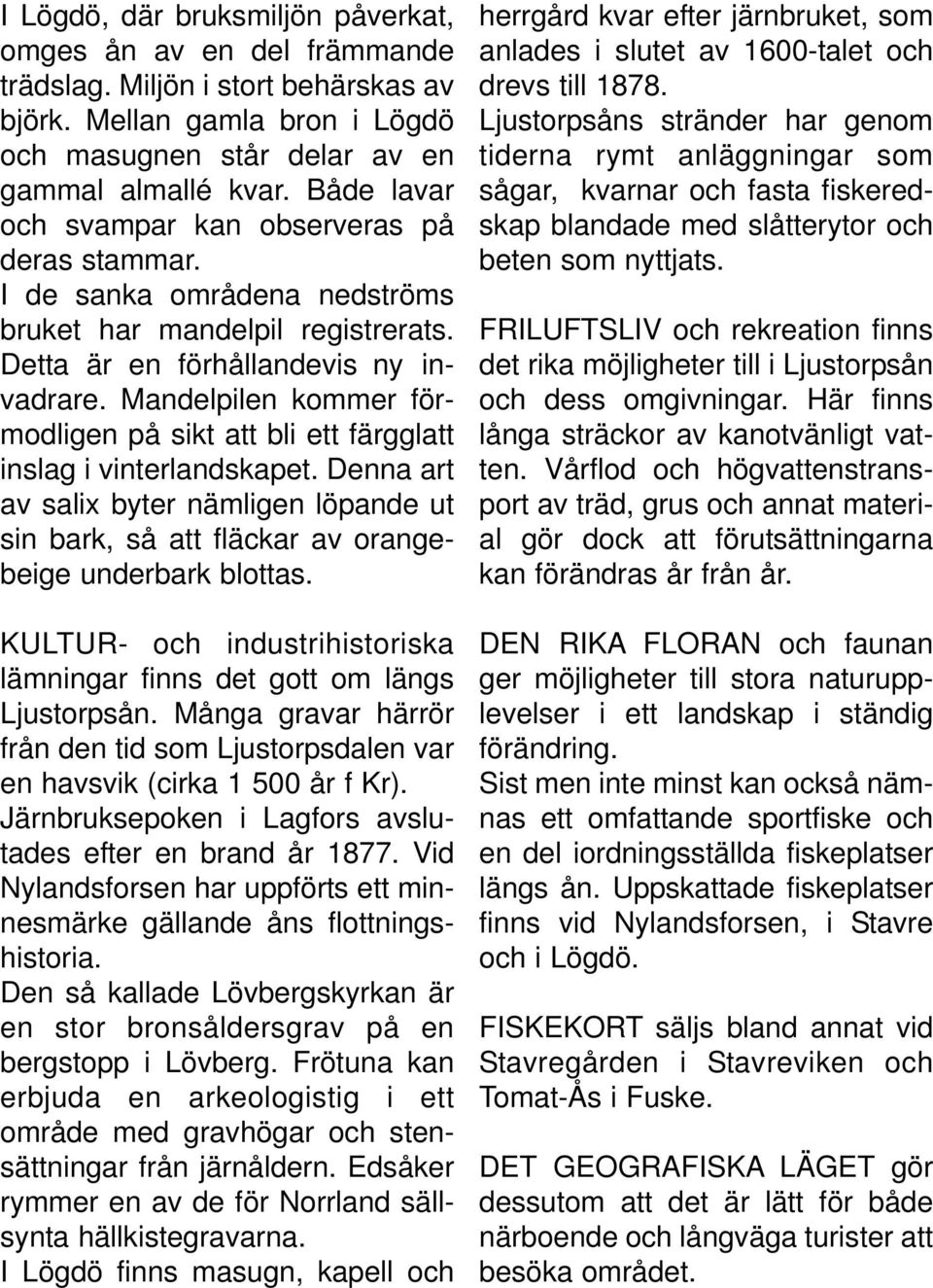 Mandelpilen kommer förmodligen på sikt att bli ett färgglatt inslag i vinterlandskapet. Denna art av salix byter nämligen löpande ut sin bark, så att fläckar av orangebeige underbark blottas.