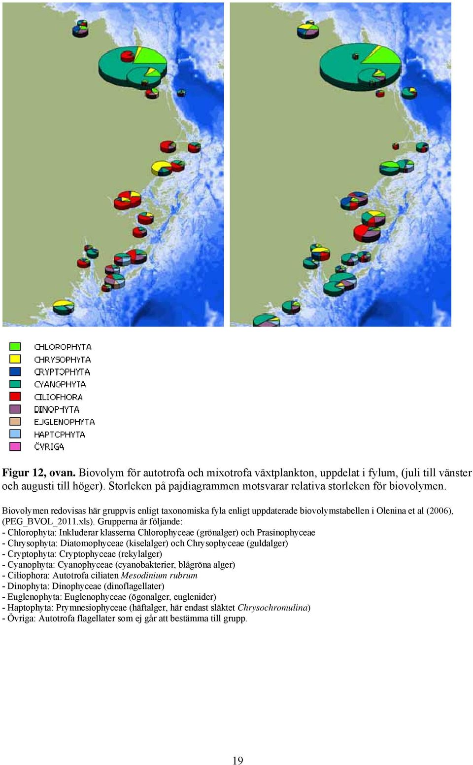 Grupperna är följande: - Chlorophyta: Inkluderar klasserna Chlorophyceae (grönalger) och Prasinophyceae - Chrysophyta: Diatomophyceae (kiselalger) och Chrysophyceae (guldalger) - Cryptophyta: