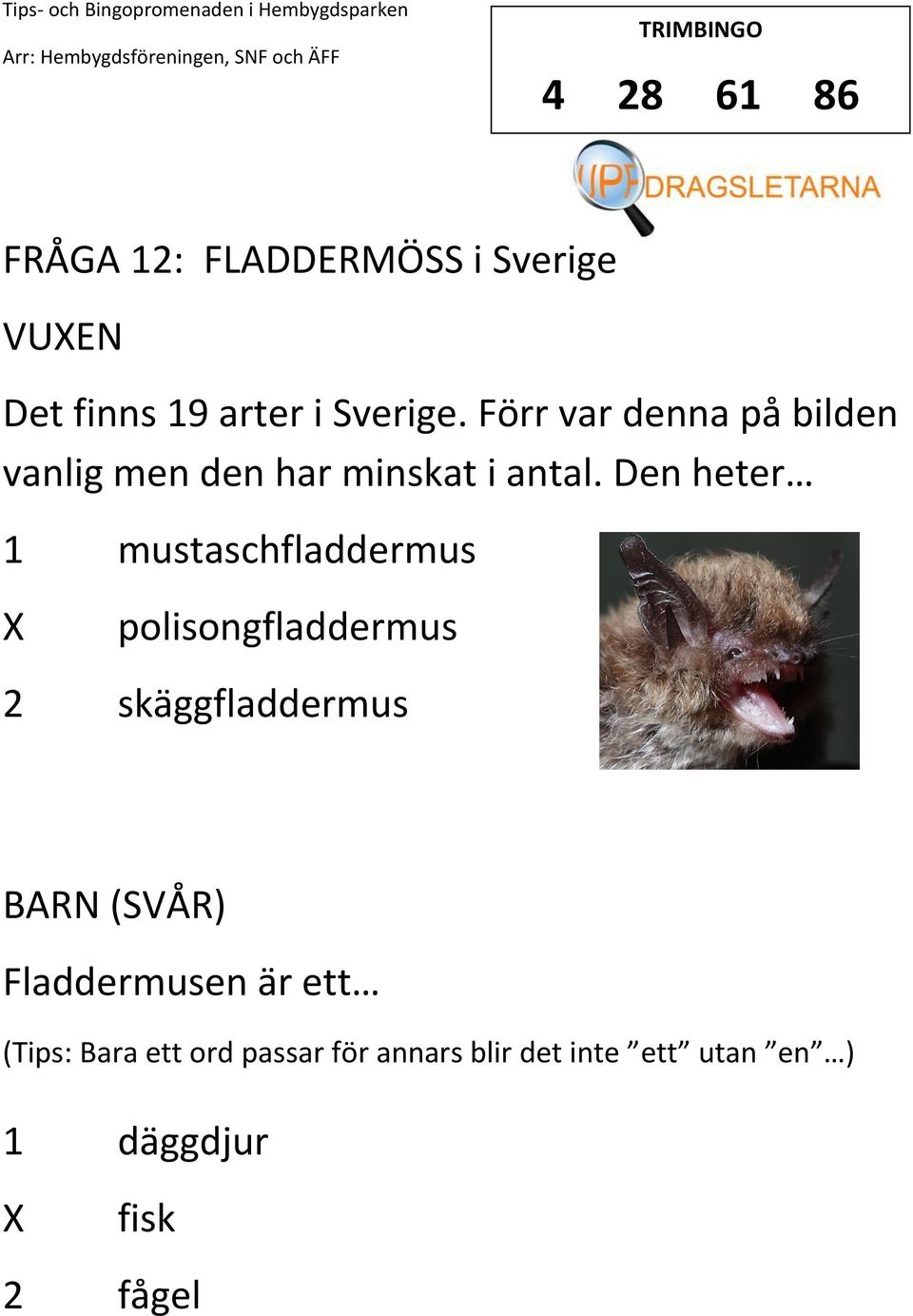 Den heter 1 mustaschfladdermus polisongfladdermus 2 skäggfladdermus (SVÅR)