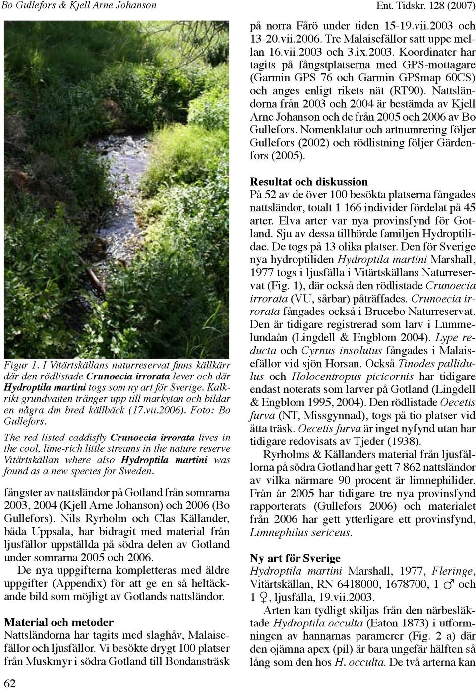 The red listed caddisfly Crunoecia irrorata lives in the cool, lime-rich little streams in the nature reserve Vitärtskällan where also Hydroptila martini was found as a new species for Sweden.