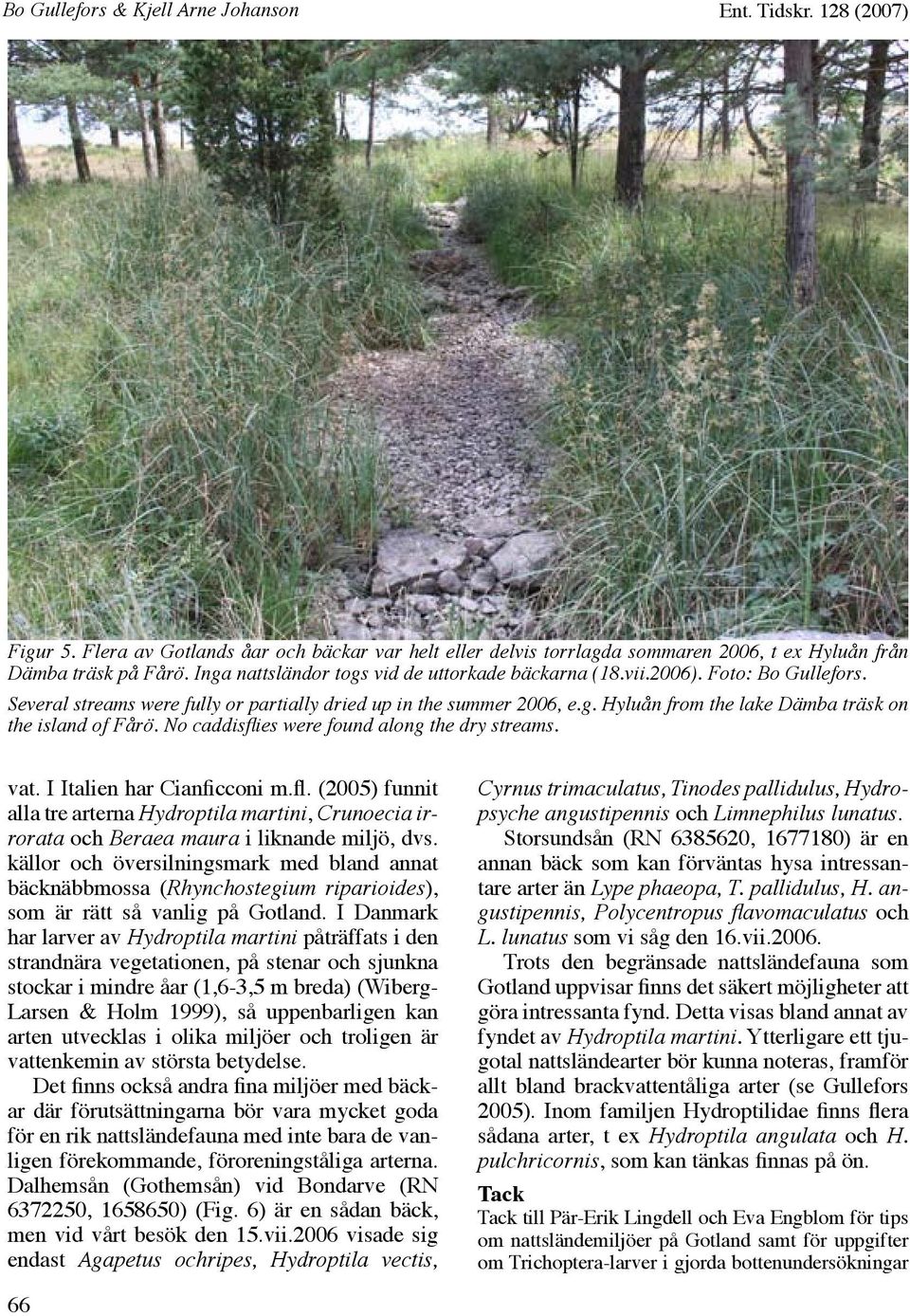 No caddisflies were found along the dry streams. vat. I Italien har Cianficconi m.fl. (2005) funnit alla tre arterna Hydroptila martini, Crunoecia irrorata och Beraea maura i liknande miljö, dvs.