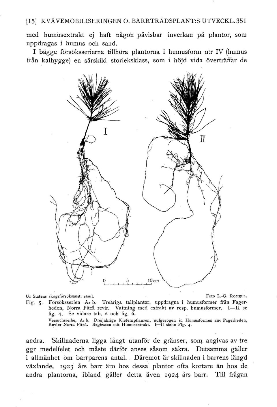 Försöksserien Ar b. Tre.riga tapantor, uppdragna i humusformer fr.n Fagerheden, Norra Pitei revir; Vattning med extrakt av resp. humusformer. I-II se fig. 4. Se vidare tab. 2 och fig. 6.