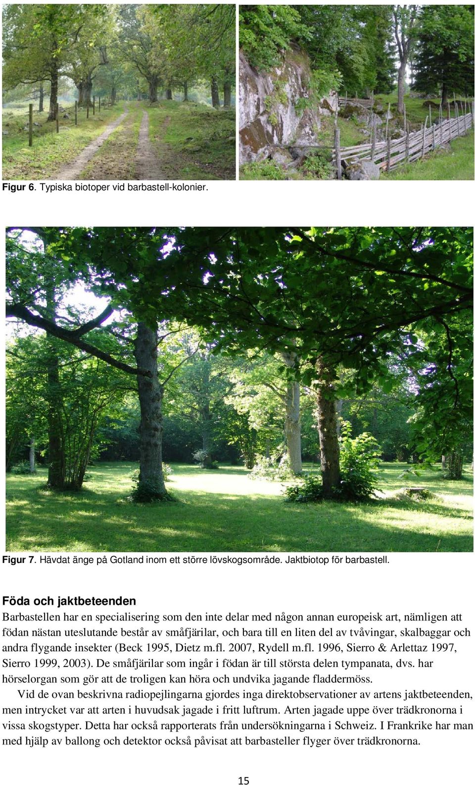 tvåvingar, skalbaggar och andra flygande insekter (Beck 1995, Dietz m.fl. 2007, Rydell m.fl. 1996, Sierro & Arlettaz 1997, Sierro 1999, 2003).