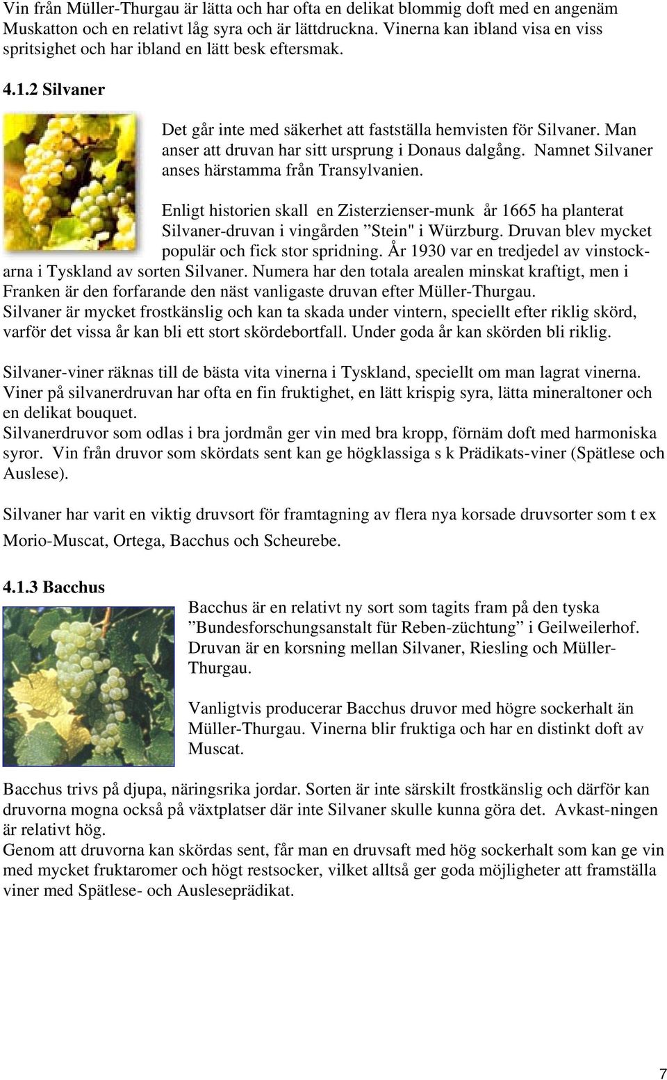 Man anser att druvan har sitt ursprung i Donaus dalgång. Namnet Silvaner anses härstamma från Transylvanien.
