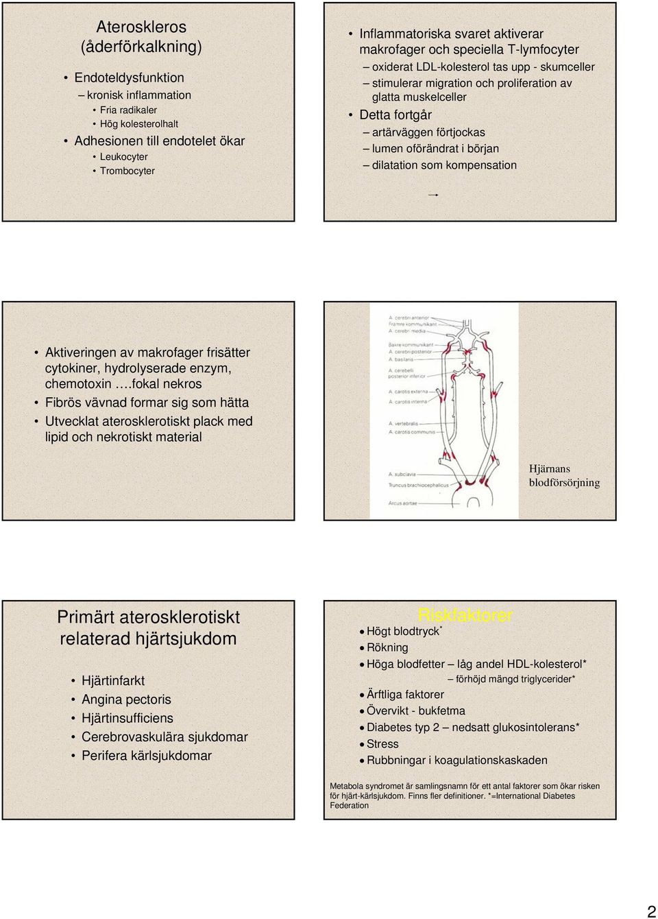 i början dilatation som kompensation Aktiveringen av makrofager frisätter cytokiner, hydrolyserade enzym, chemotoxin.