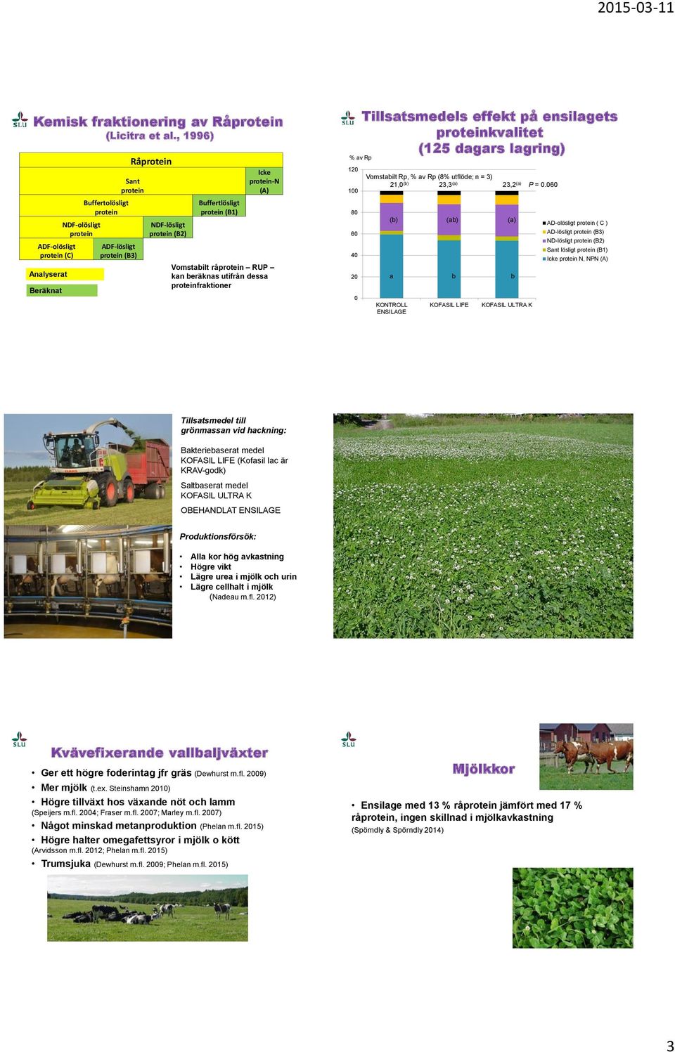 protein-n (A) Vomstabilt råprotein RUP kan beräknas utifrån dessa proteinfraktioner Tillsatsmedels effekt på ensilaets proteinkvalitet (125 daars larin) % av Rp 120 100 80 60 40 20 0 Vomstabilt Rp, %