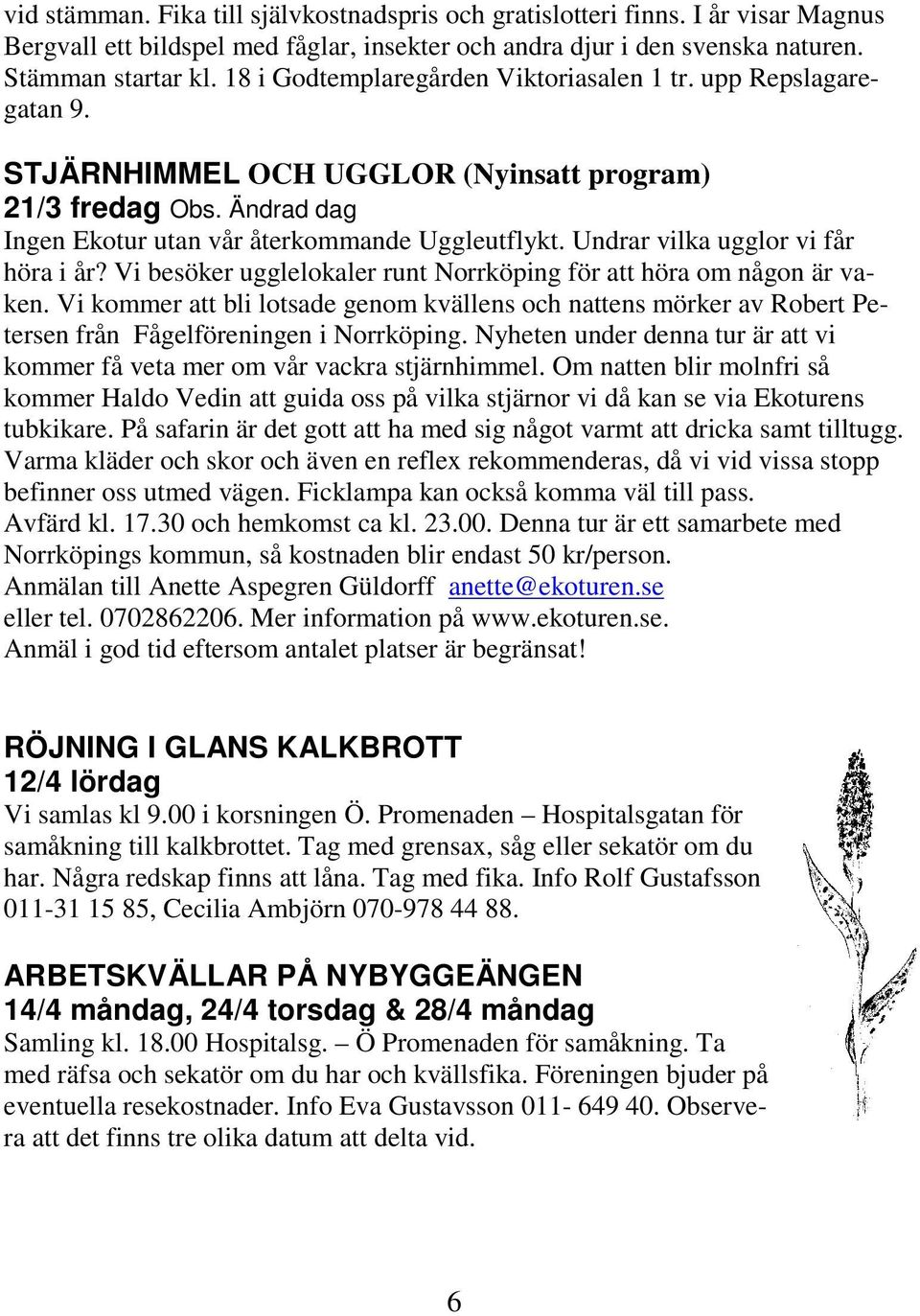 Undrar vilka ugglor vi får höra i år? Vi besöker ugglelokaler runt Norrköping för att höra om någon är vaken.
