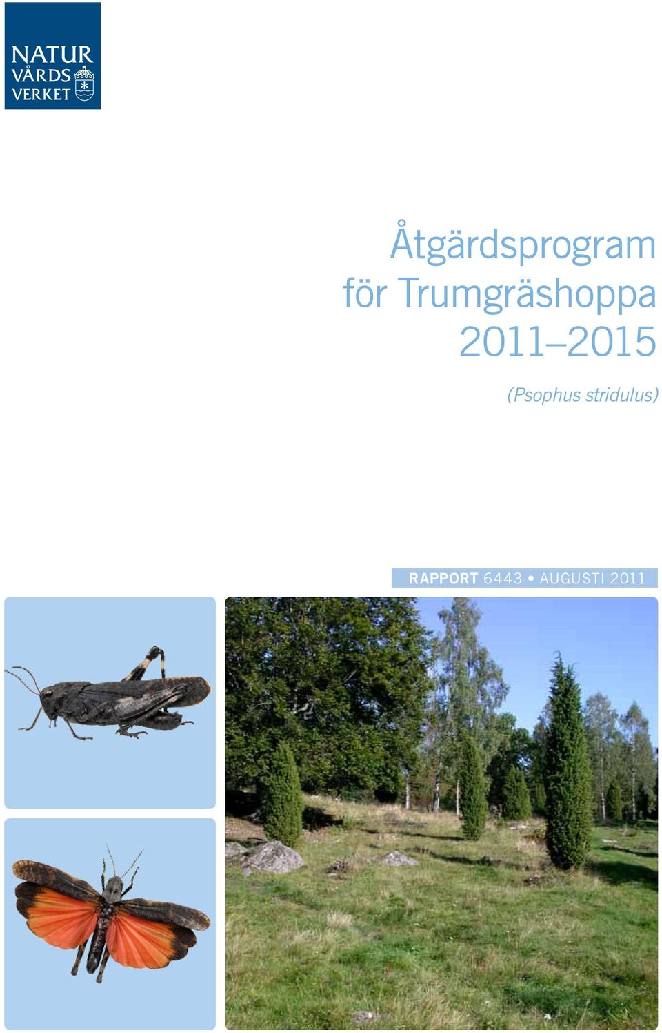 2015 (Psophus