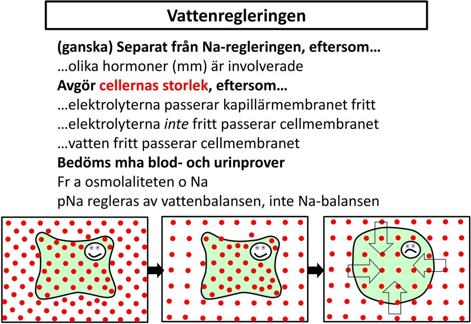 fritt elektrolyterna inte fritt passerar cellmembranet vatten fritt passerar