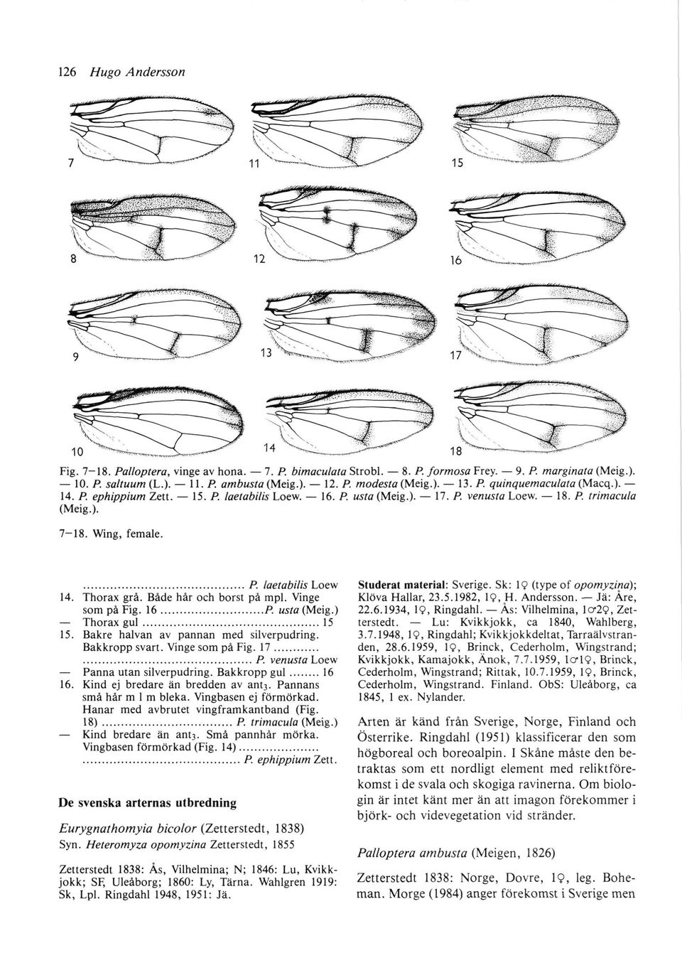 8. P. formosa Frey. 9. P. marginata (Meig.). l9.p.saltuum(l.).ll. P.ombusta(Meig.).12.P.modesta(Meig.).13. P.quinquemaculita(Macq.). 14. P. ephippiumzett. 15. P. loetabilis Loew. 16. P. usta (Meig.). 17.
