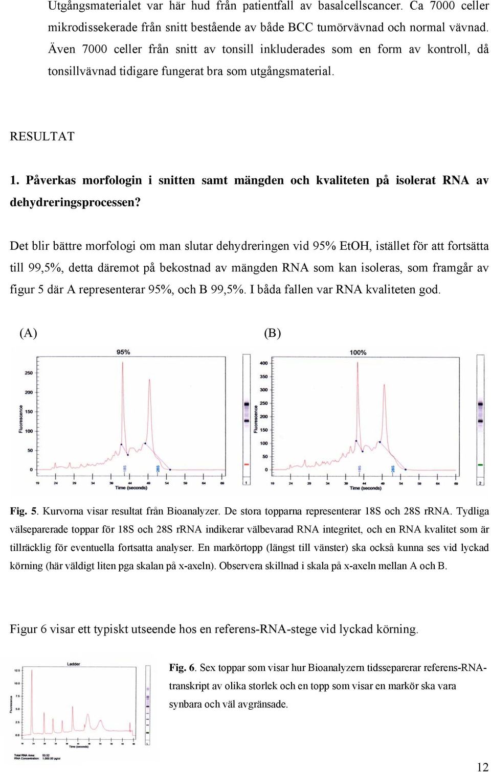 Påverkas morfologin i snitten samt mängden och kvaliteten på isolerat RNA av dehydreringsprocessen?