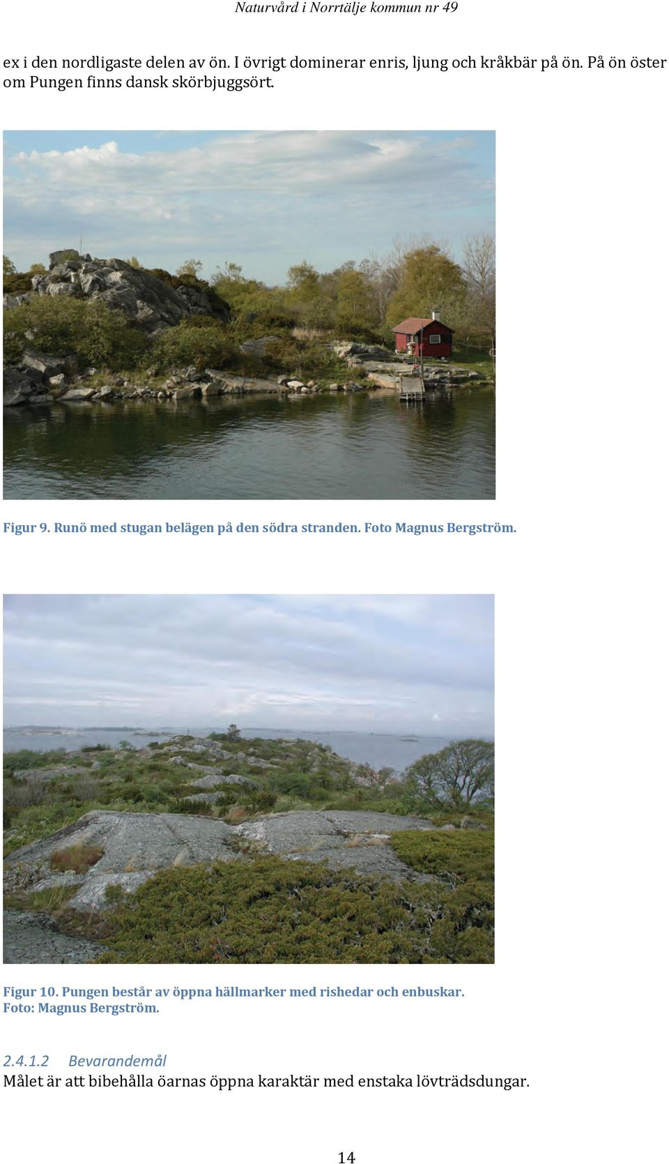Runö med stugan belägen på den södra stranden. Foto Magnus Bergström. Figur 10.