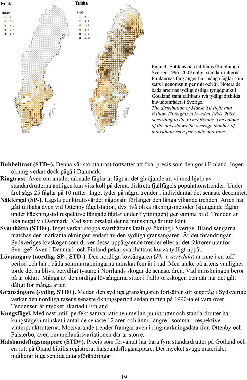 The distribution of Marsh Tit (left) and Willow Tit (right) in Sweden 996 9 according to the Fixed Routes. The colour of the dots shows the average number of individuals seen per route and year.