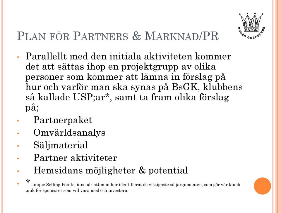 olika förslag på; Partnerpaket Omvärldsanalys Säljmaterial Partner aktiviteter Hemsidans möjligheter & potential *Unique Selling
