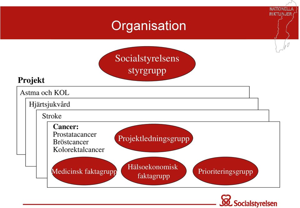 Bröstcancer Kolorektalcancer Medicinsk faktagrupp