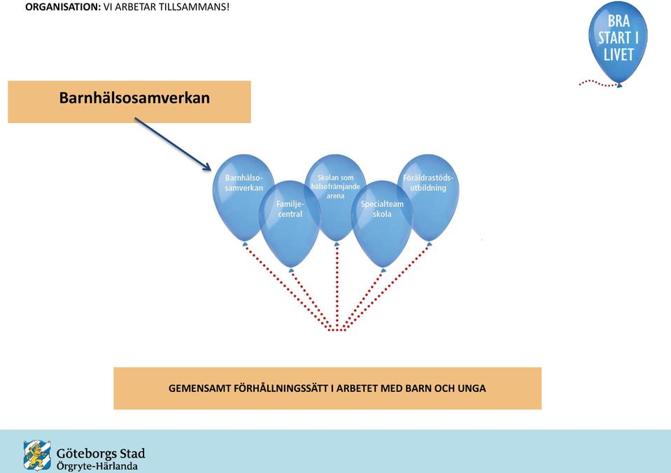 Barnhälsosamverkan