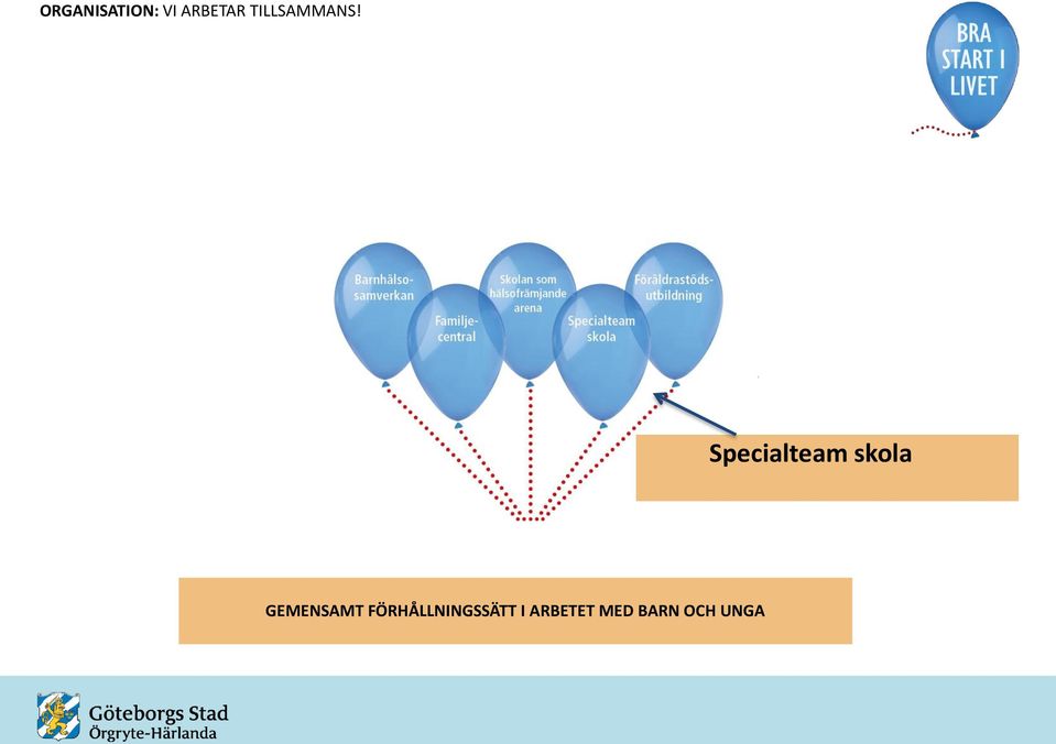 Specialteam skola GEMENSAMT