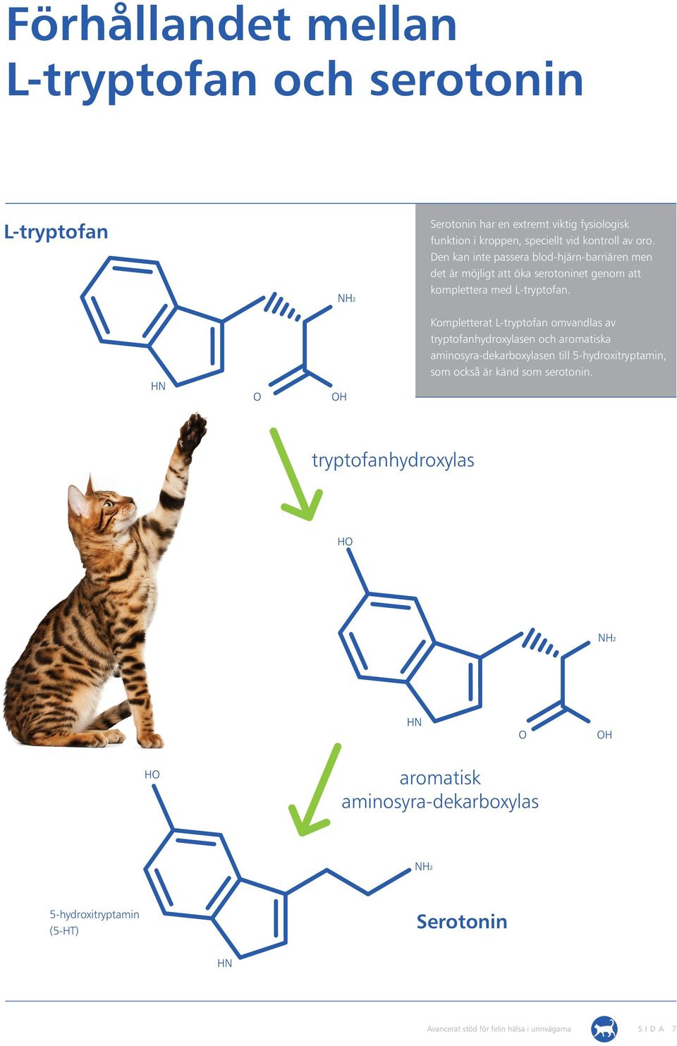 Den kan inte passera blod-hjärn-barriären men det är möjligt att öka serotoninet genom att komplettera med L-tryptofan.