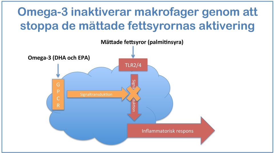 tsyrornas aktivering Mä.ade fe.