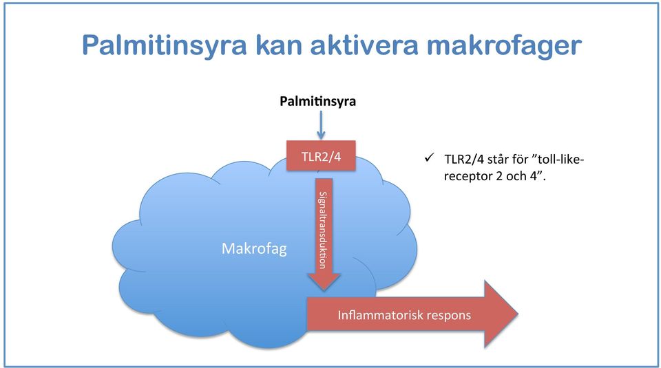 toll- like- receptor 2 och 4.