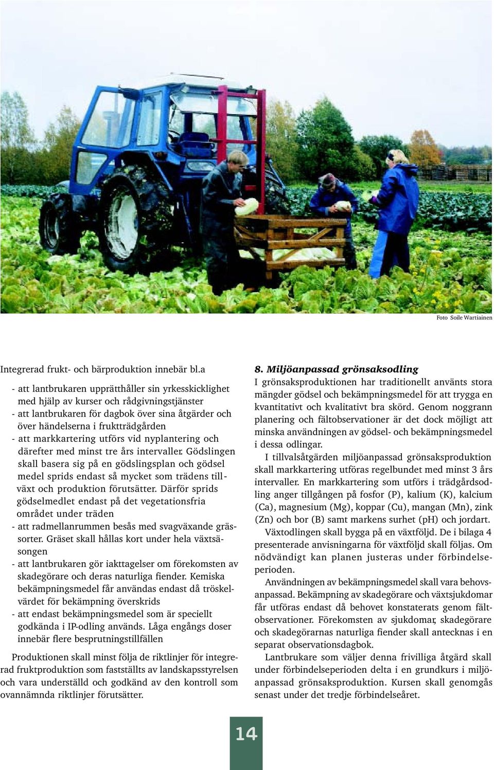 markkartering utförs vid nyplantering och därefter med minst tre års intervaller.