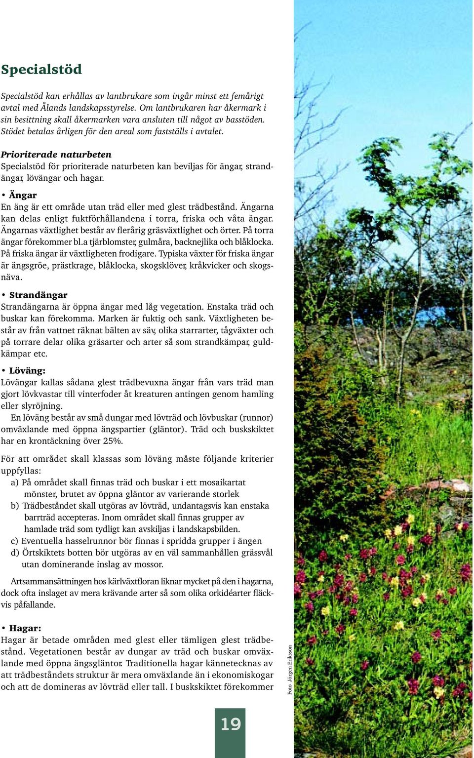 Prioriterade naturbeten Specialstöd för prioriterade naturbeten kan beviljas för ängar, strandängar, lövängar och hagar. Ängar En äng är ett område utan träd eller med glest trädbestånd.