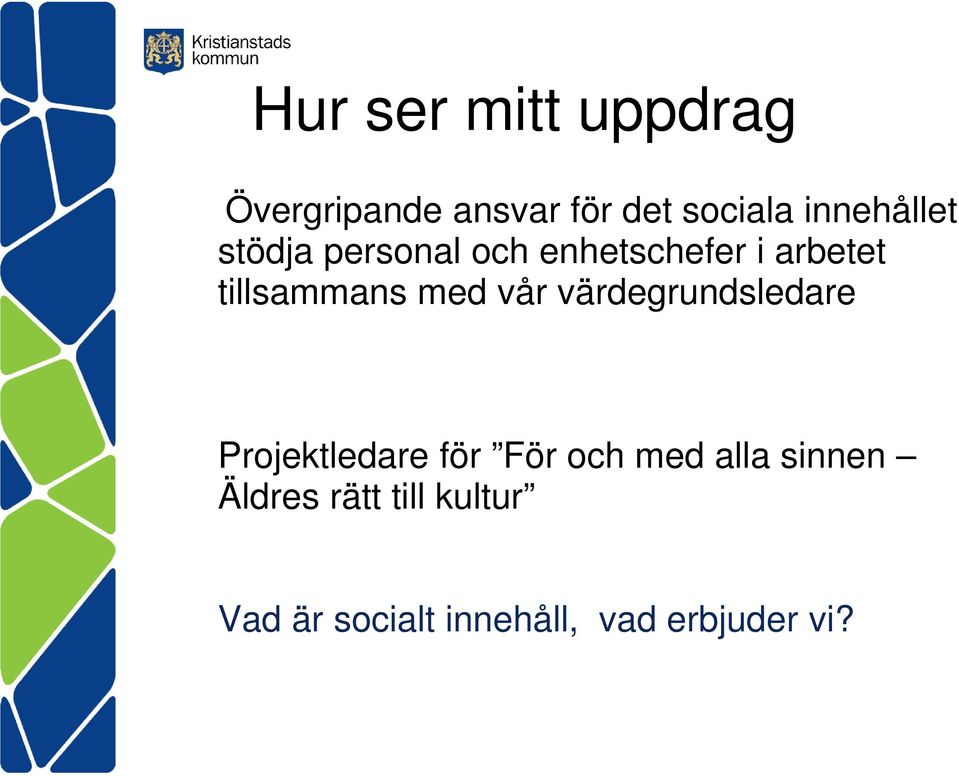 tillsammans med vår värdegrundsledare Projektledare för För och