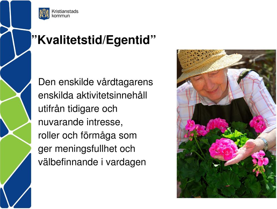 och nuvarande intresse, roller och förmåga som