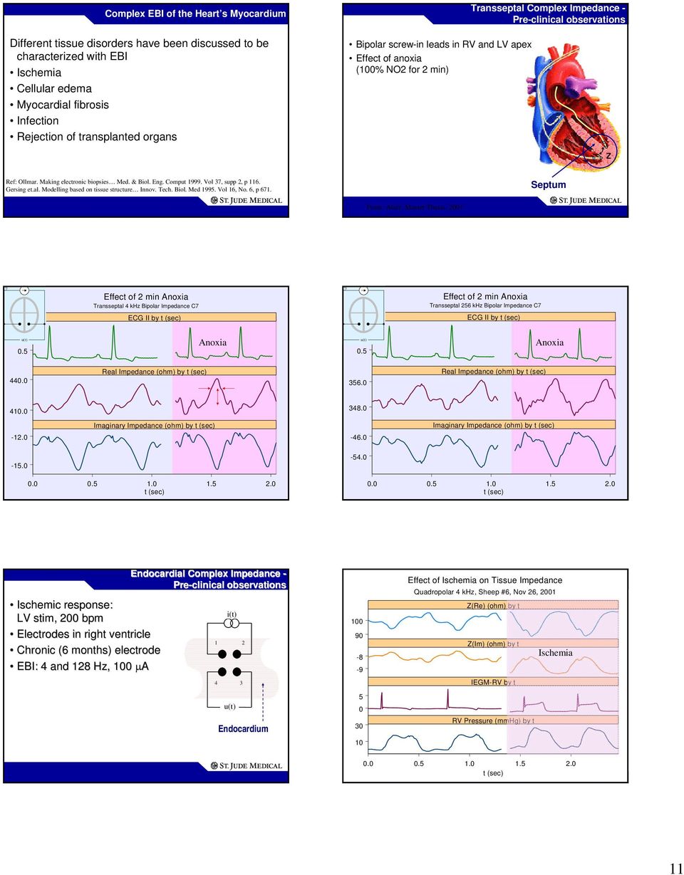 Eng. Comput 1999. Vol 37, supp 2, p 116. Gersing et.al. Modelling based on tissue structure Innov. Tech. Biol. Med 1995. Vol 16, No. 6, p 671. Septum From: Alsér. Master Thesis, 2001.