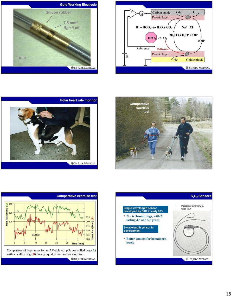 rate monitor Comparative exercise test Comparative exercise test S v O 2 Sensors Stim Rate [bpm] (A) 150 A 125 100 75 B R=0.