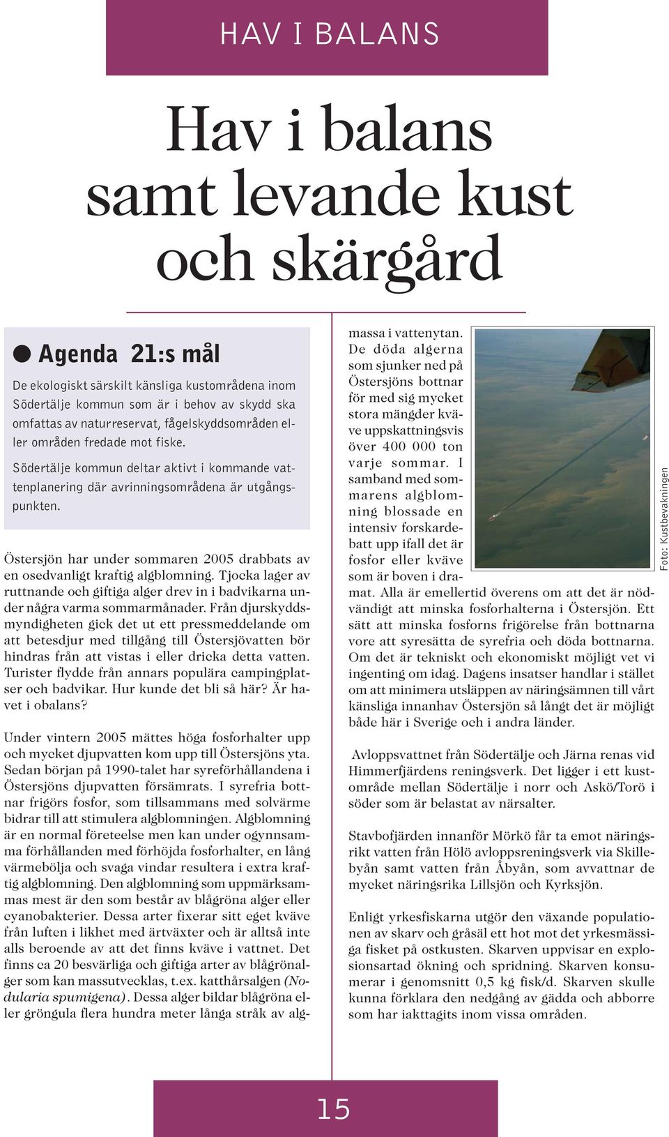 Östersjön har under sommaren 2005 drabbats av en osedvanligt kraftig algblomning. Tjocka lager av ruttnande och giftiga alger drev in i badvikarna under några varma sommarmånader.