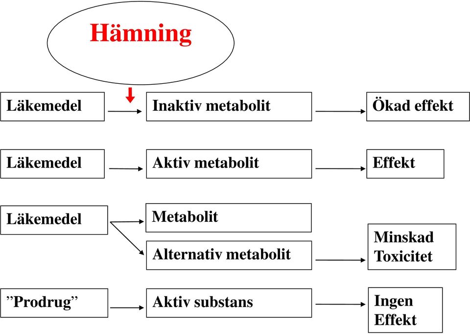 Läkemedel Metabolit Alternativ metabolit