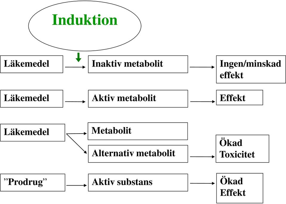 metabolit Effekt Läkemedel Metabolit