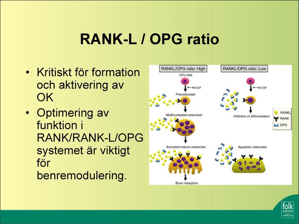 Optimering av funktion i