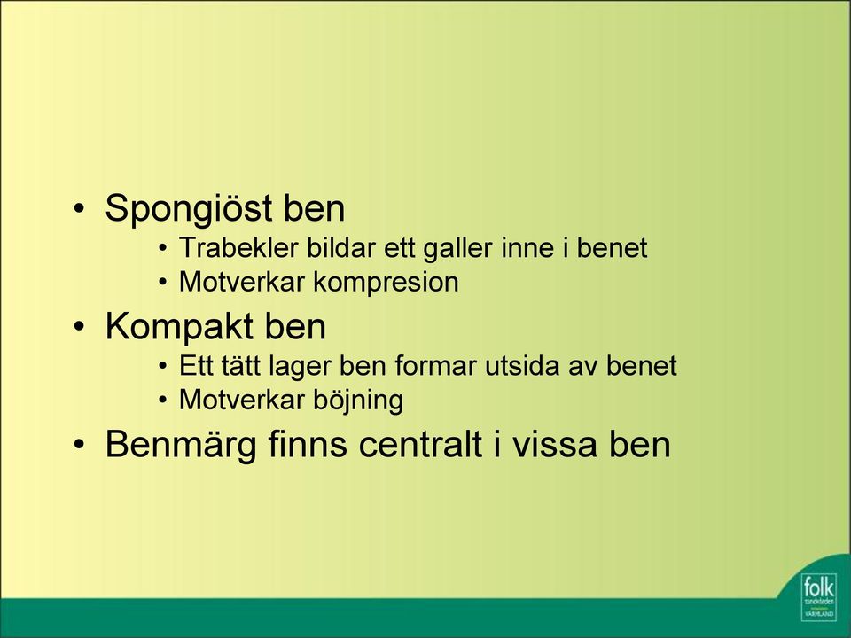 Ett tätt lager ben formar utsida av benet