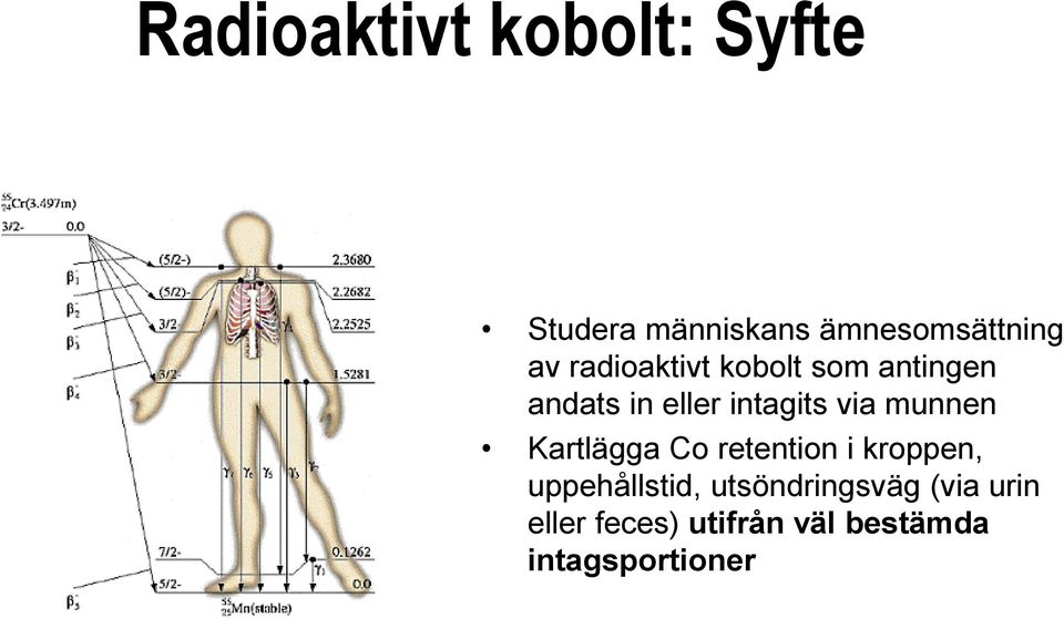 munnen Kartlägga Co retention i kroppen, uppehållstid,