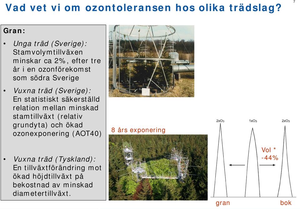 Sverige Vuxna träd (Sverige): En statistiskt säkerställd relation mellan minskad stamtillväxt (relativ