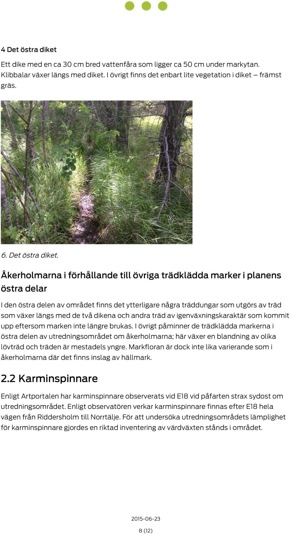 Åkerholmarna i förhållande till övriga trädklädda marker i planens östra delar I den östra delen av området finns det ytterligare några träddungar som utgörs av träd som växer längs med de två dikena