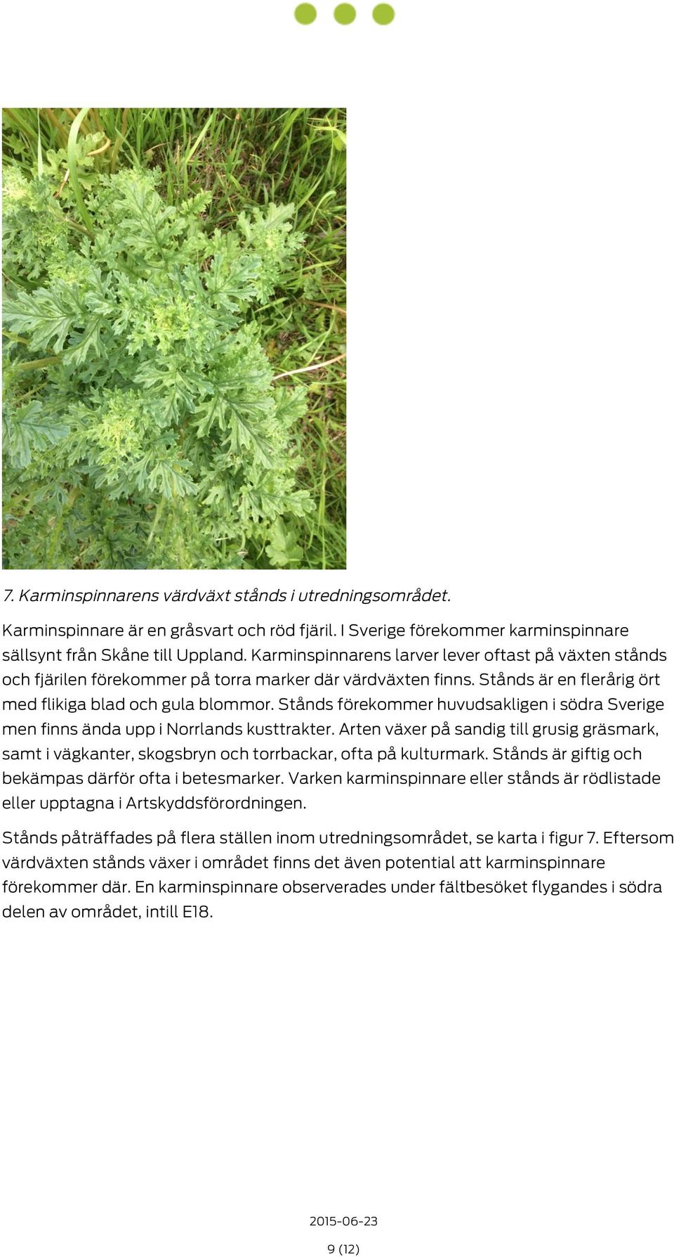 Stånds förekommer huvudsakligen i södra Sverige men finns ända upp i Norrlands kusttrakter. Arten växer på sandig till grusig gräsmark, samt i vägkanter, skogsbryn och torrbackar, ofta på kulturmark.
